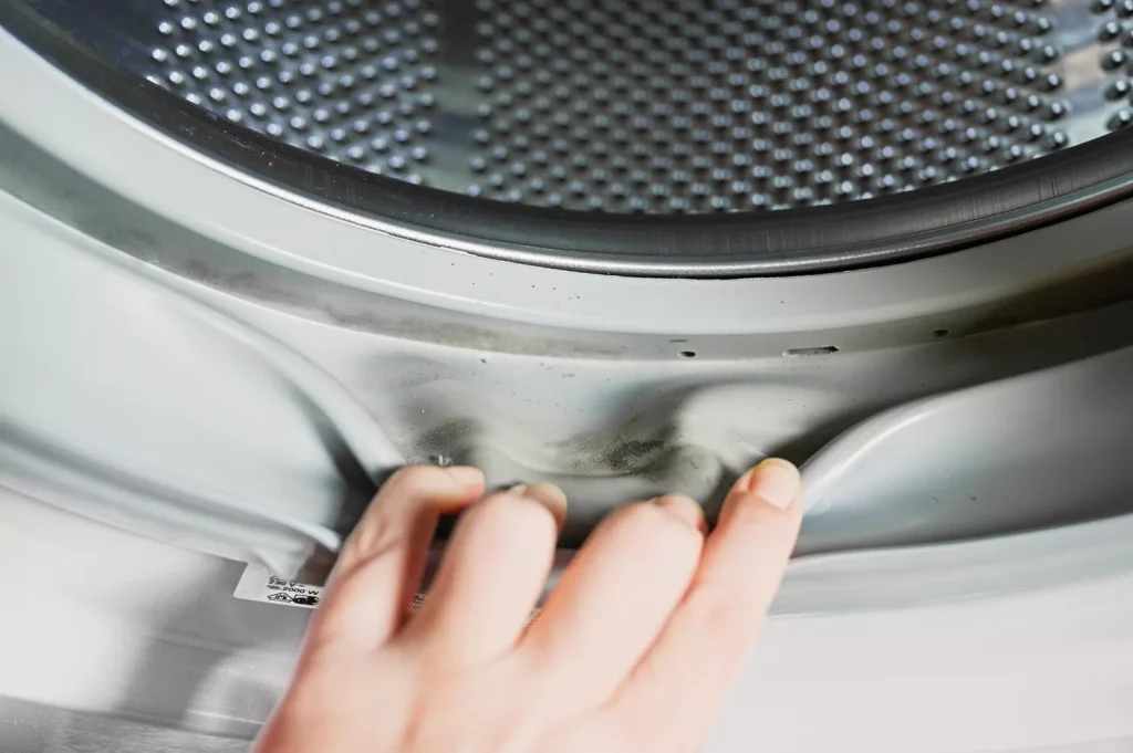 How To Remove Mold From Washer Gasket